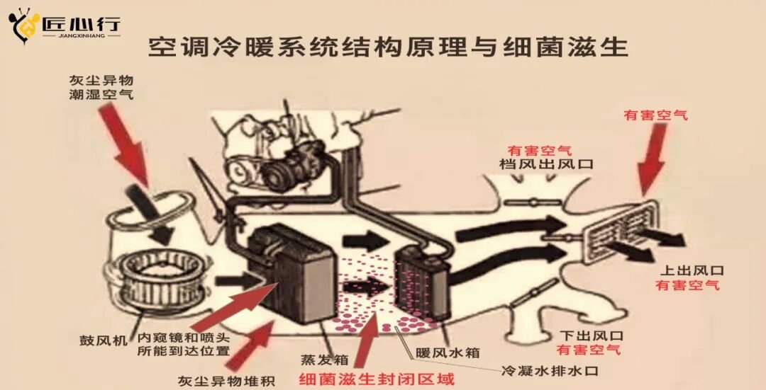 空调冷暖系统结构原理与细菌滋生示意图：灰尘异物与潮湿空气经进风口进入鼓风机，蒸发箱与暖风水箱之间的封闭区域细菌滋生，有害空气经各出风口进入车内